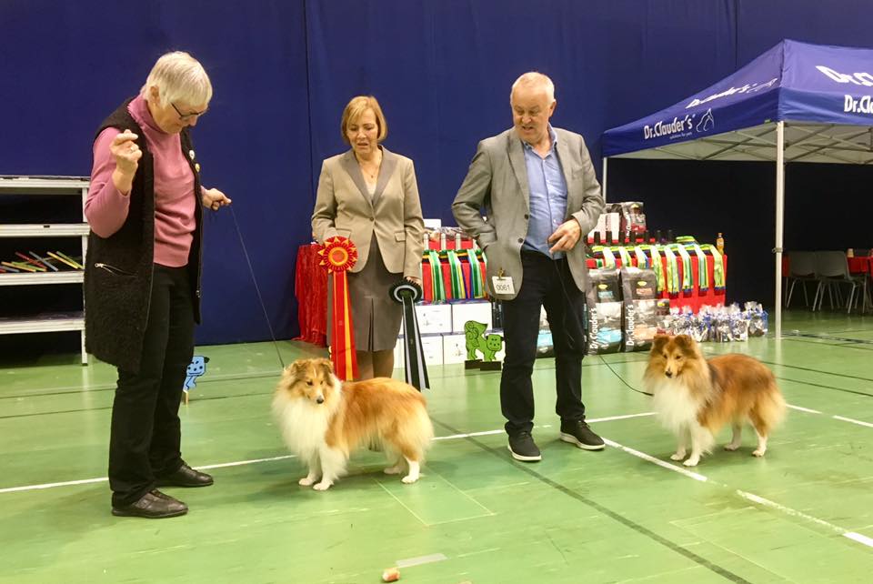 Norsk Miniatyrhund Klubb, Letohallen 11.11.18