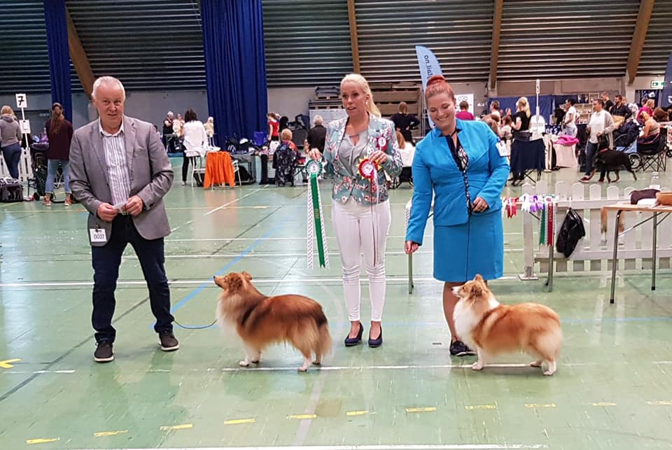 Norsk Dalmantiner Klubb, Letohallen 11.08.19