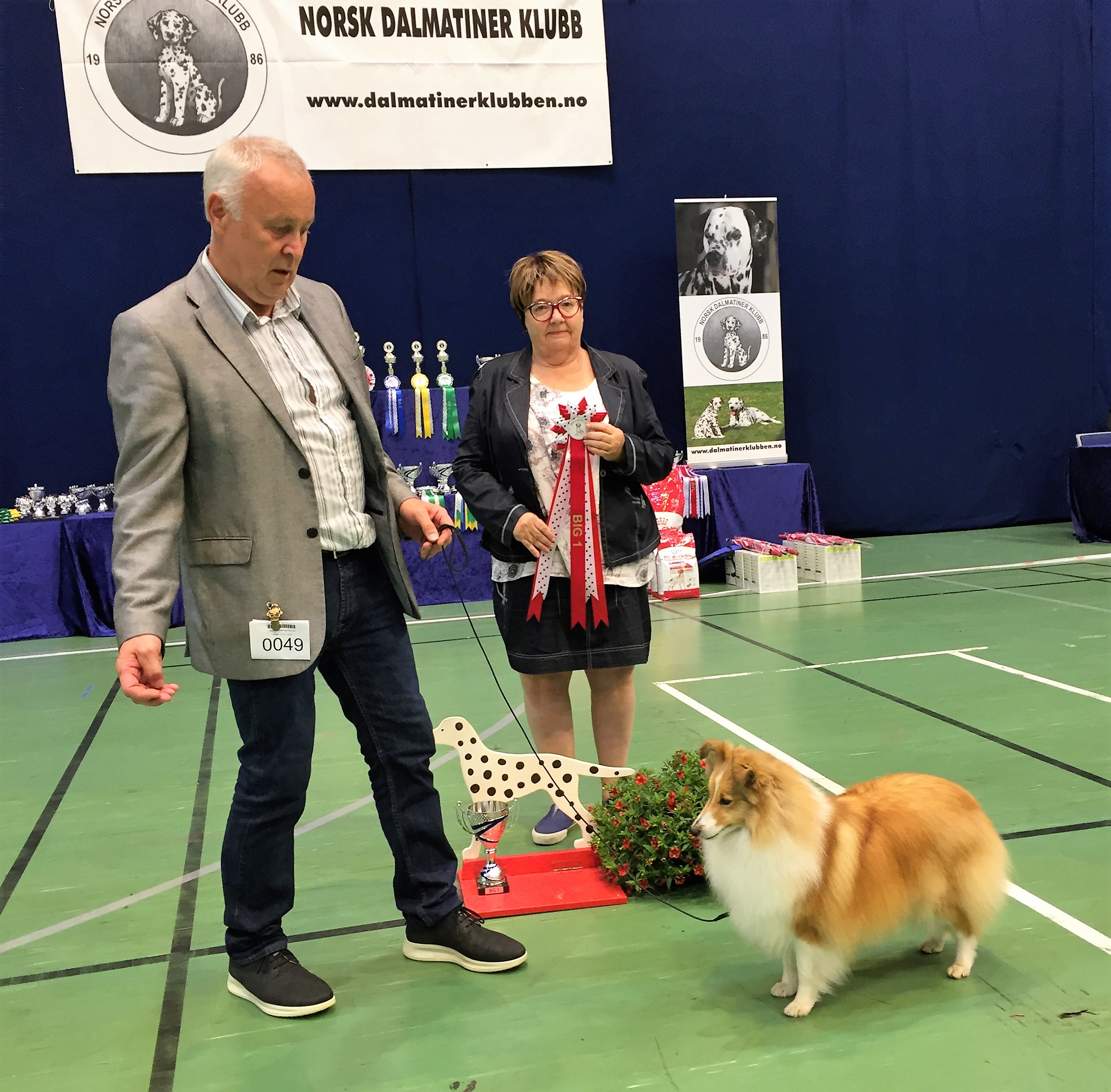 Norsk Dalmantiner Klubb, Letohallen 11.08.19